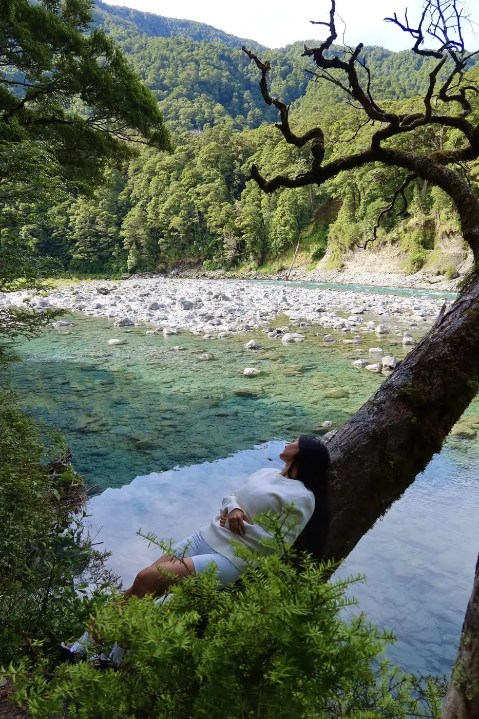 New Zealand travel guide